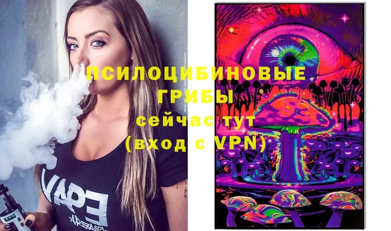 Галлюциногенные грибы Cubensis  Сочи 